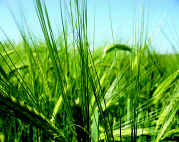 Fund investments image no 5